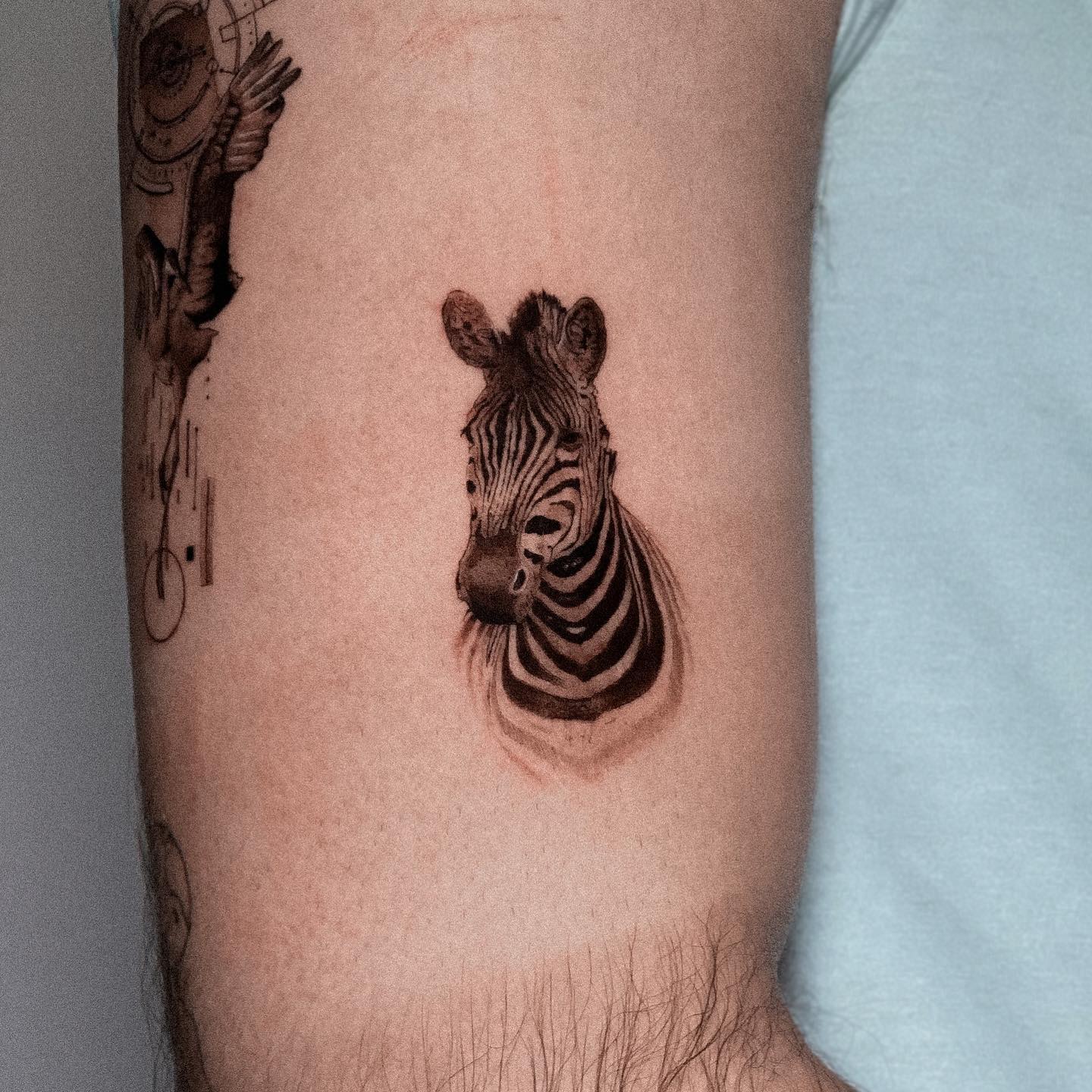 Realistic zebra tattoo design by madridarttattoo