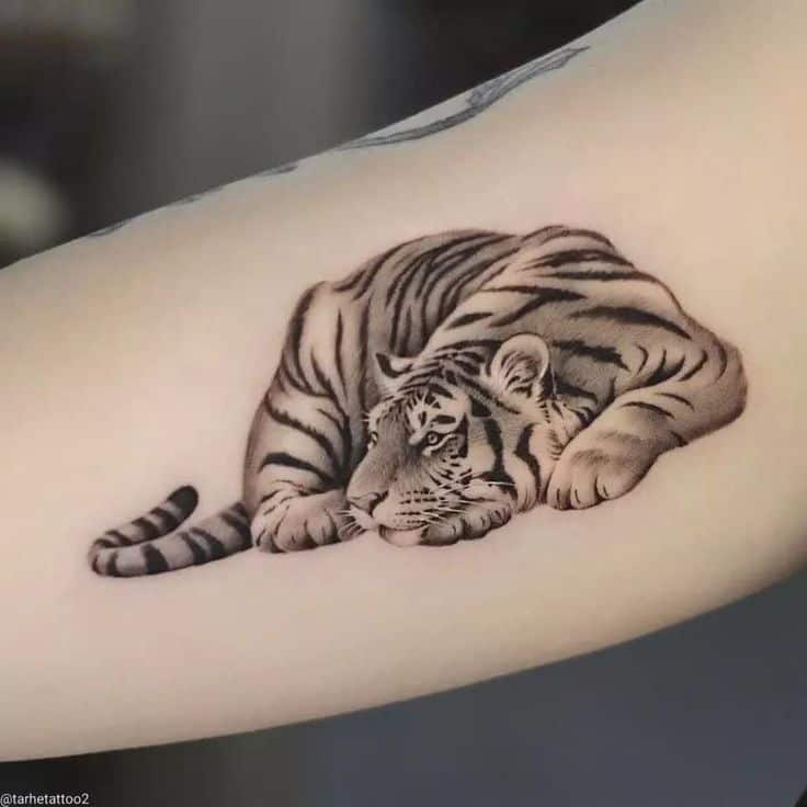 Tiger tattoo 1 1