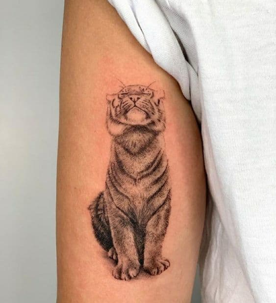 Tiger tattoo 2