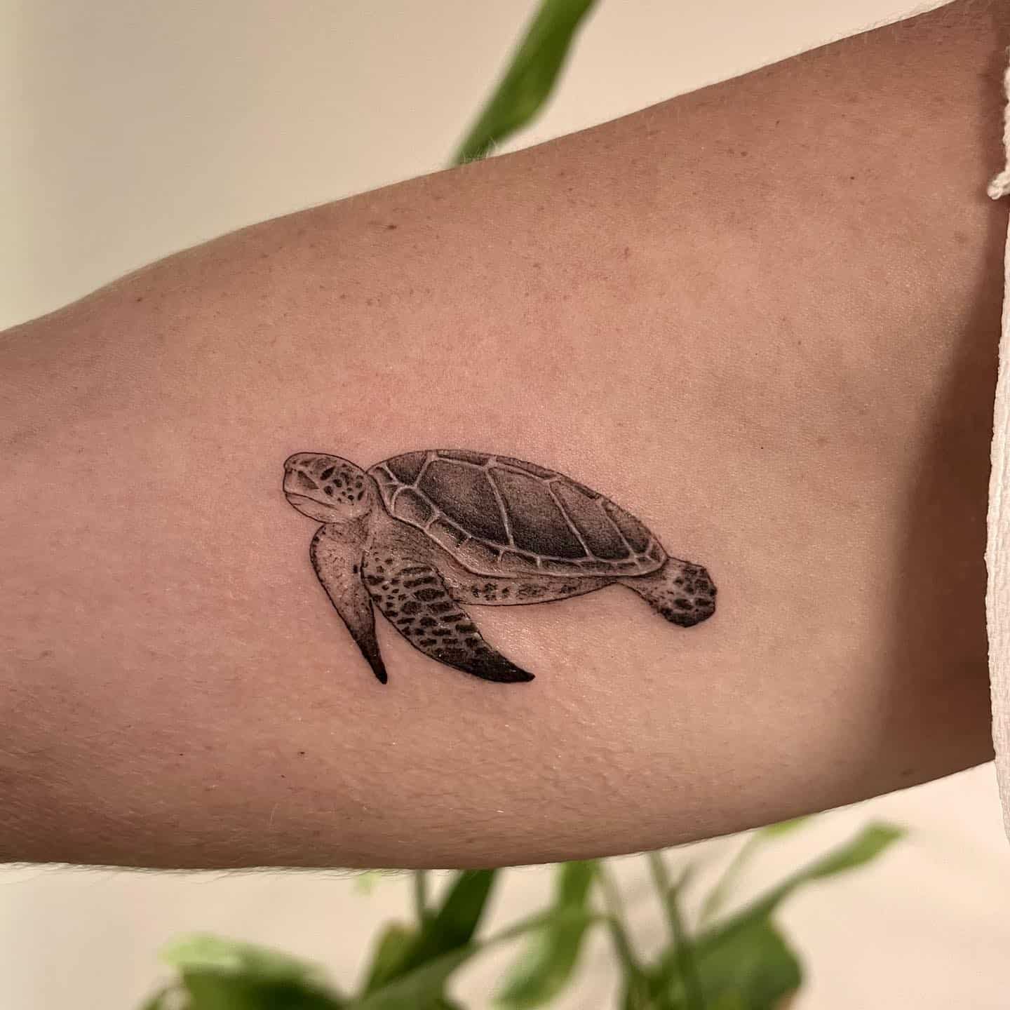 Tortoise tattoo by anaceltattoo