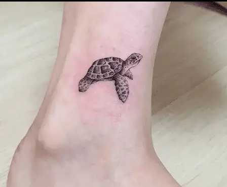 Tortoise tattoo by cate tattoo