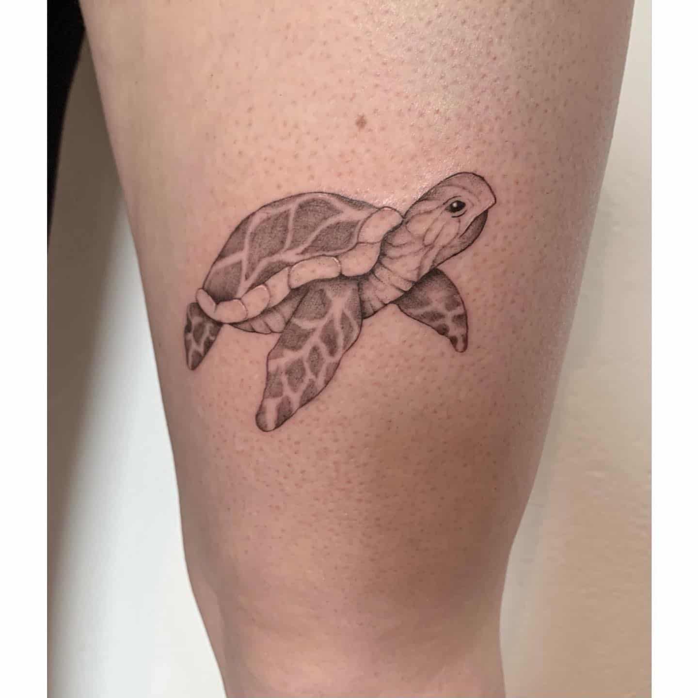 Tortoise Tattoo Design Ideas