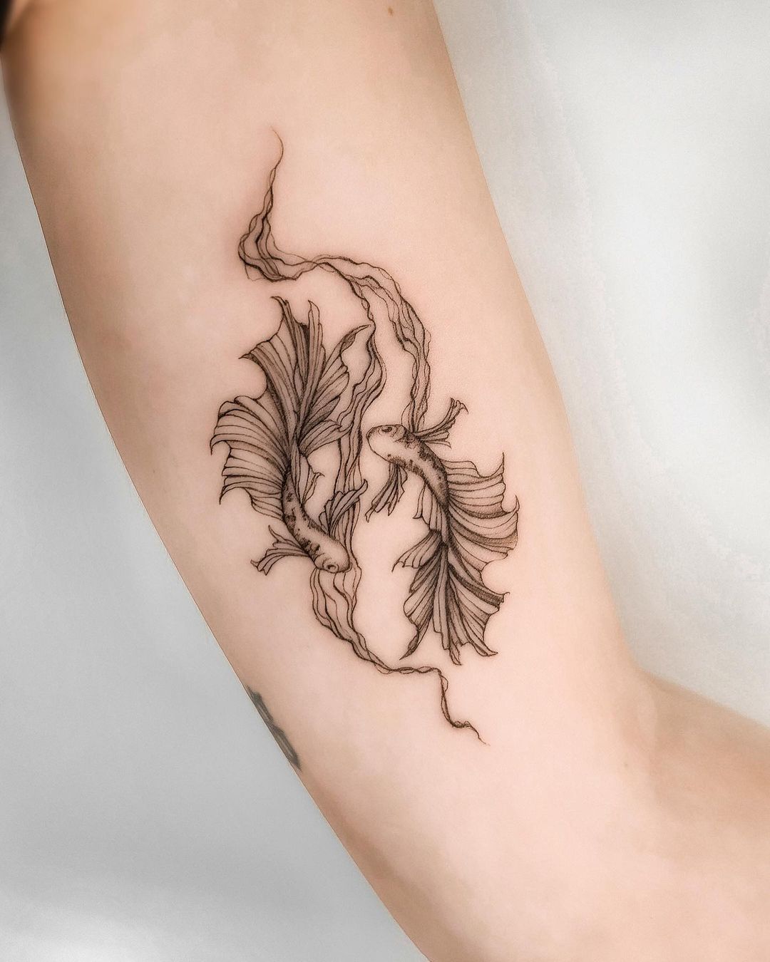 Two koi fish tattoo by seaphiya.tattoo