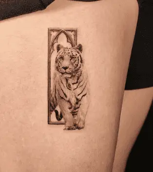 White tiger tattoo by ik tatz