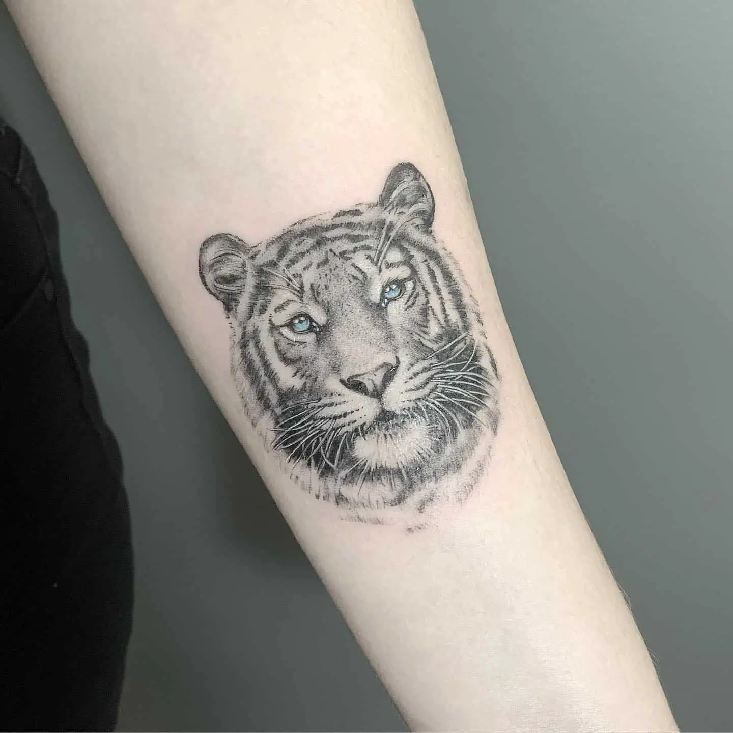 White tiger tattoo by lozzarachtattooer 1
