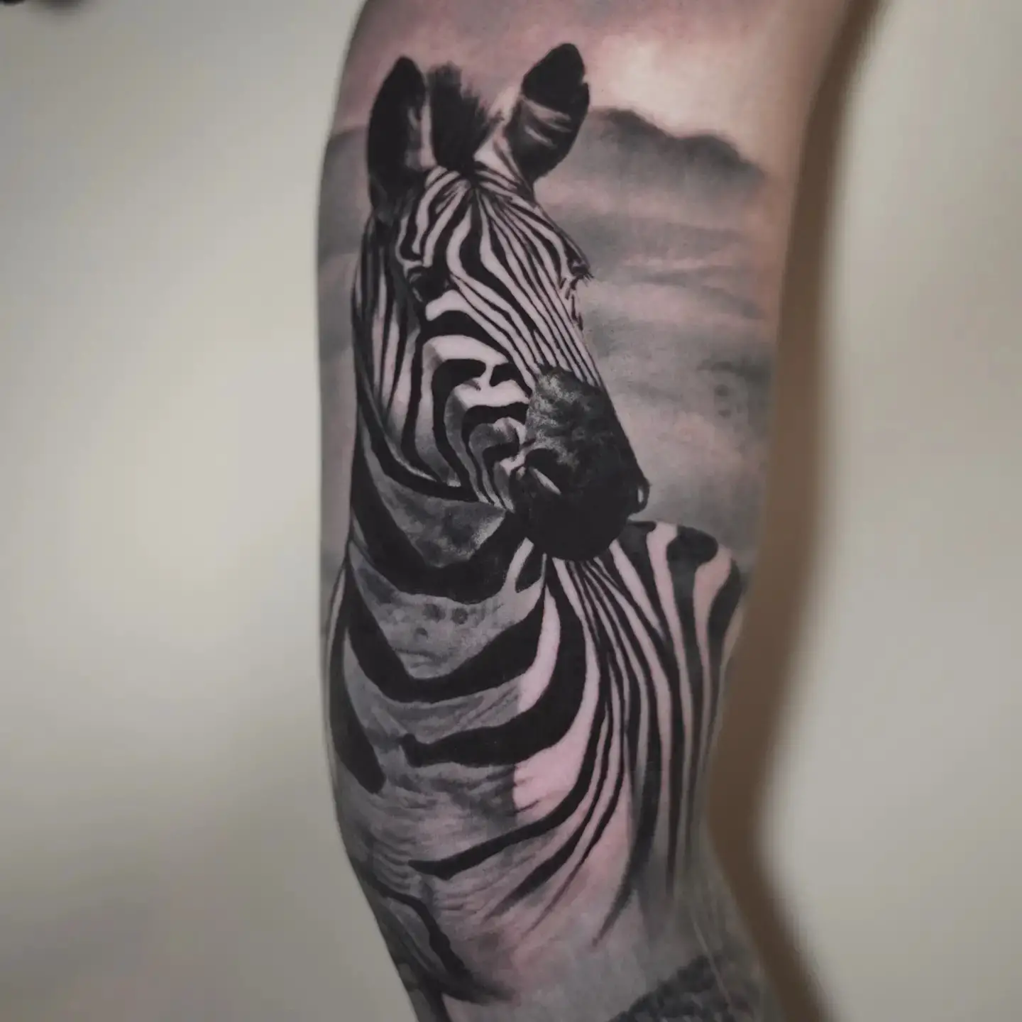 Zebra portrait tattoo by fabienabbet