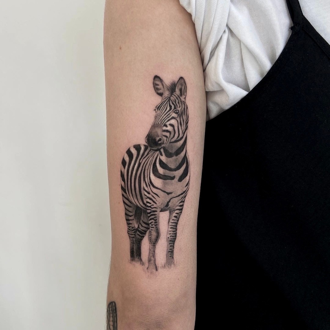 Zebra portrait tattoo by notretattoo