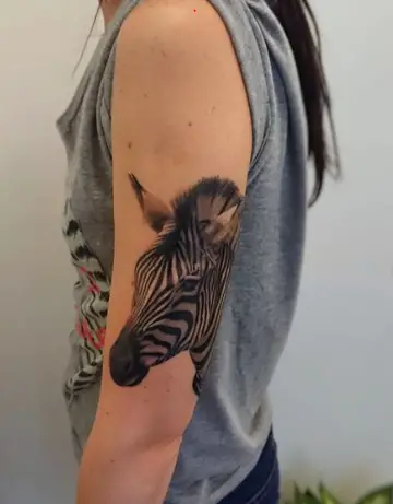 Zebra tattoo on arm 1