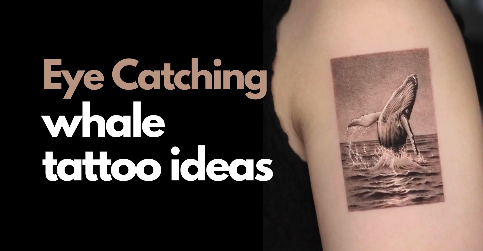 whale tattoo designs