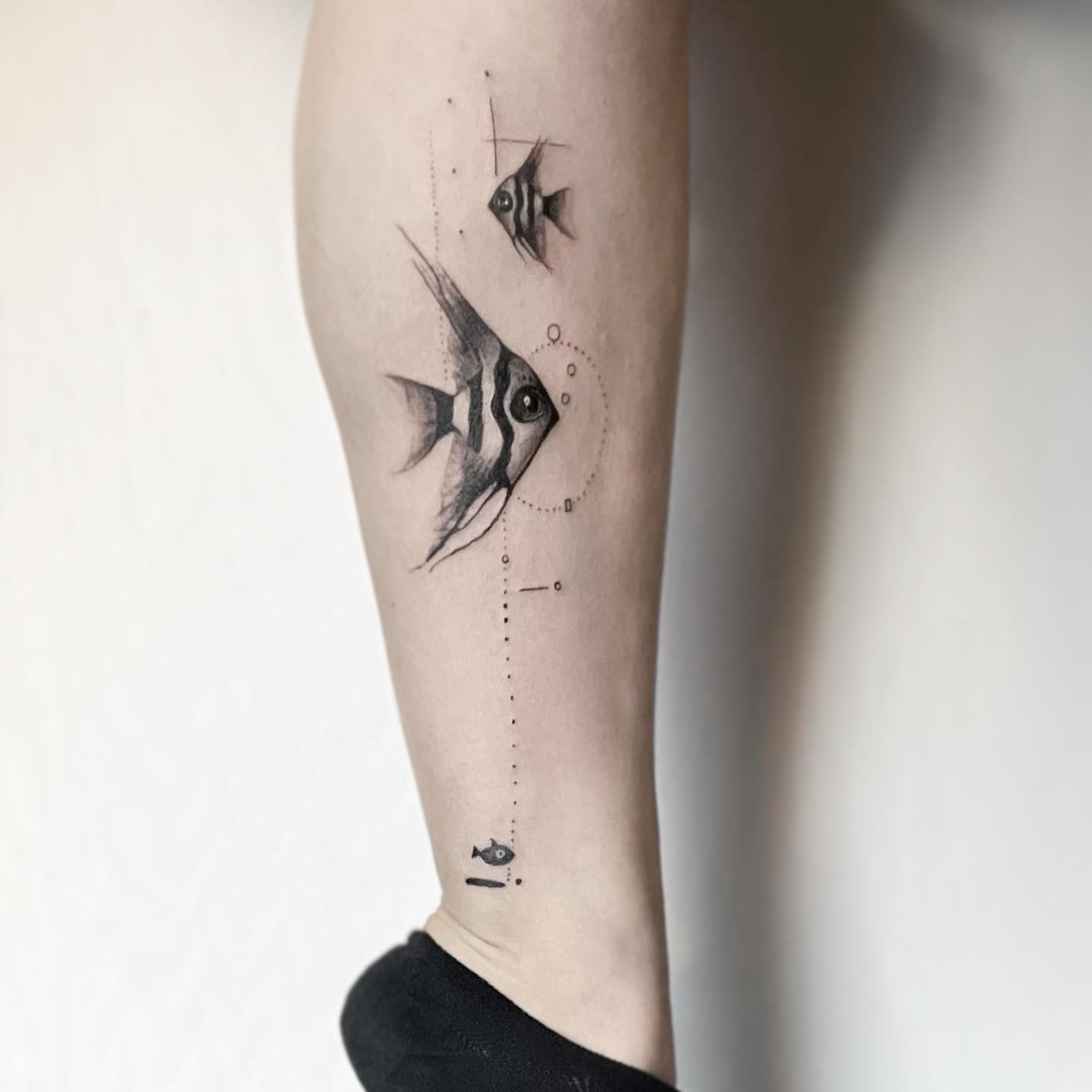 Angelfish tattoo by nata3787