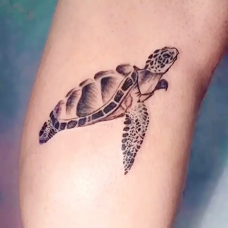 Baby turtle tattoo by skim.tattoostudio