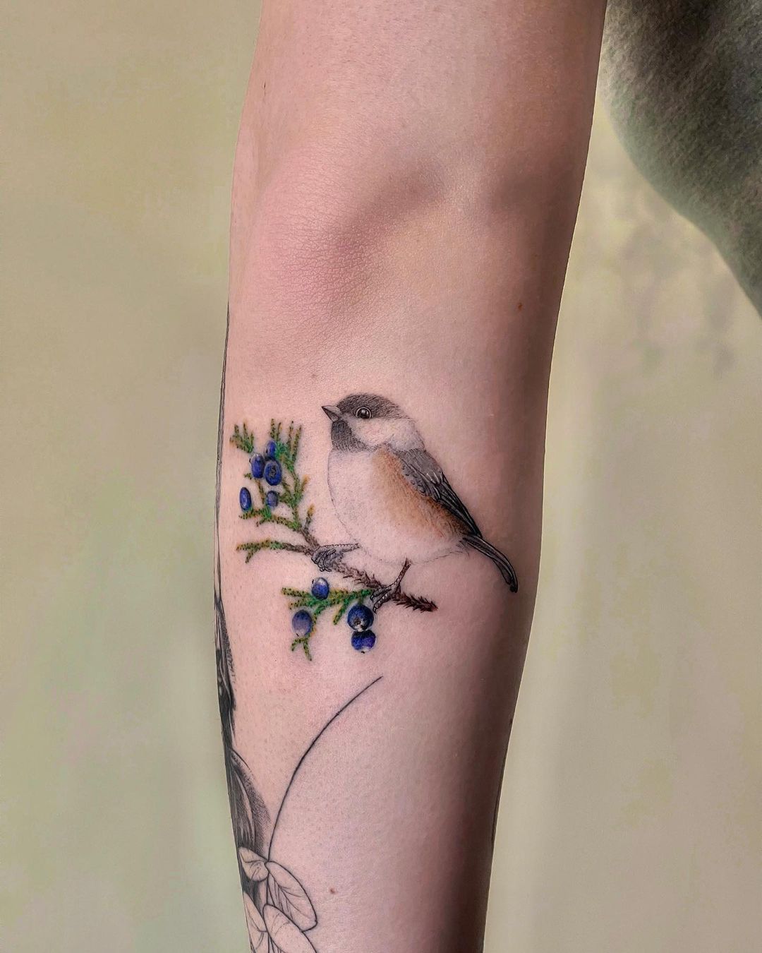 Bird on forearm by inkprick