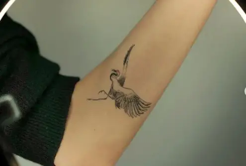 Bird tattoo with men by gowa tattoo