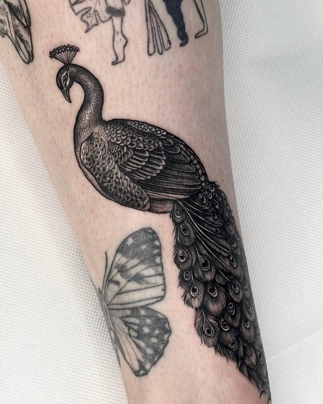 Black and gray peacock tattoo by atelier.scarabee