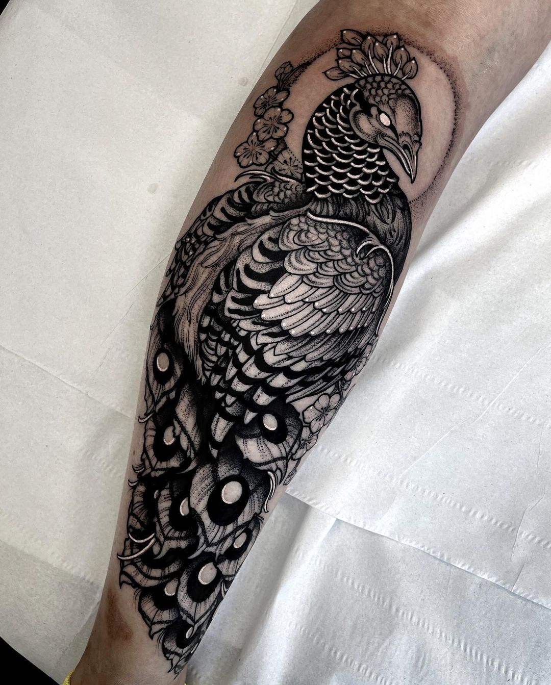 Black and gray peacock tattoo by jadereevetattoo