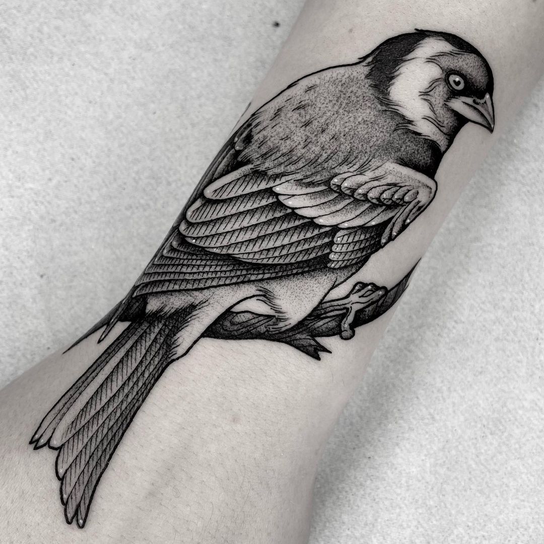 Black and grey bird tattoo by donbraga