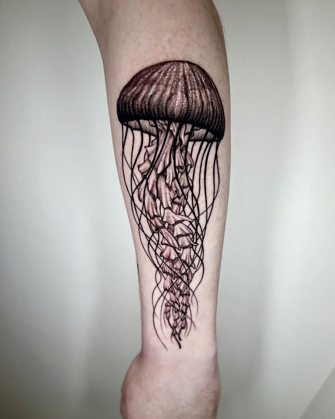 Colorful Jellyfish Tattoo by Jackie Rabbit by jackierabbit12 on DeviantArt