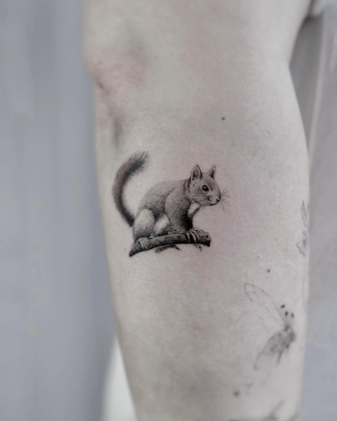 Black squirrel tattoo by rany boskie