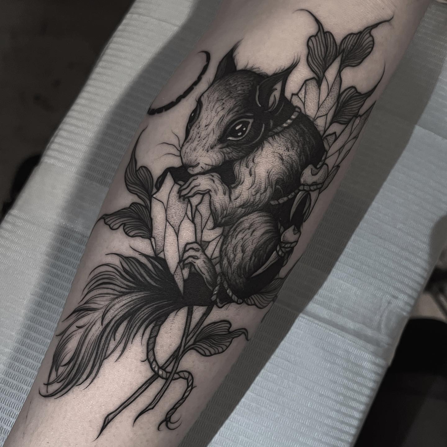 Black squirrel tattoo by steph.guillotine