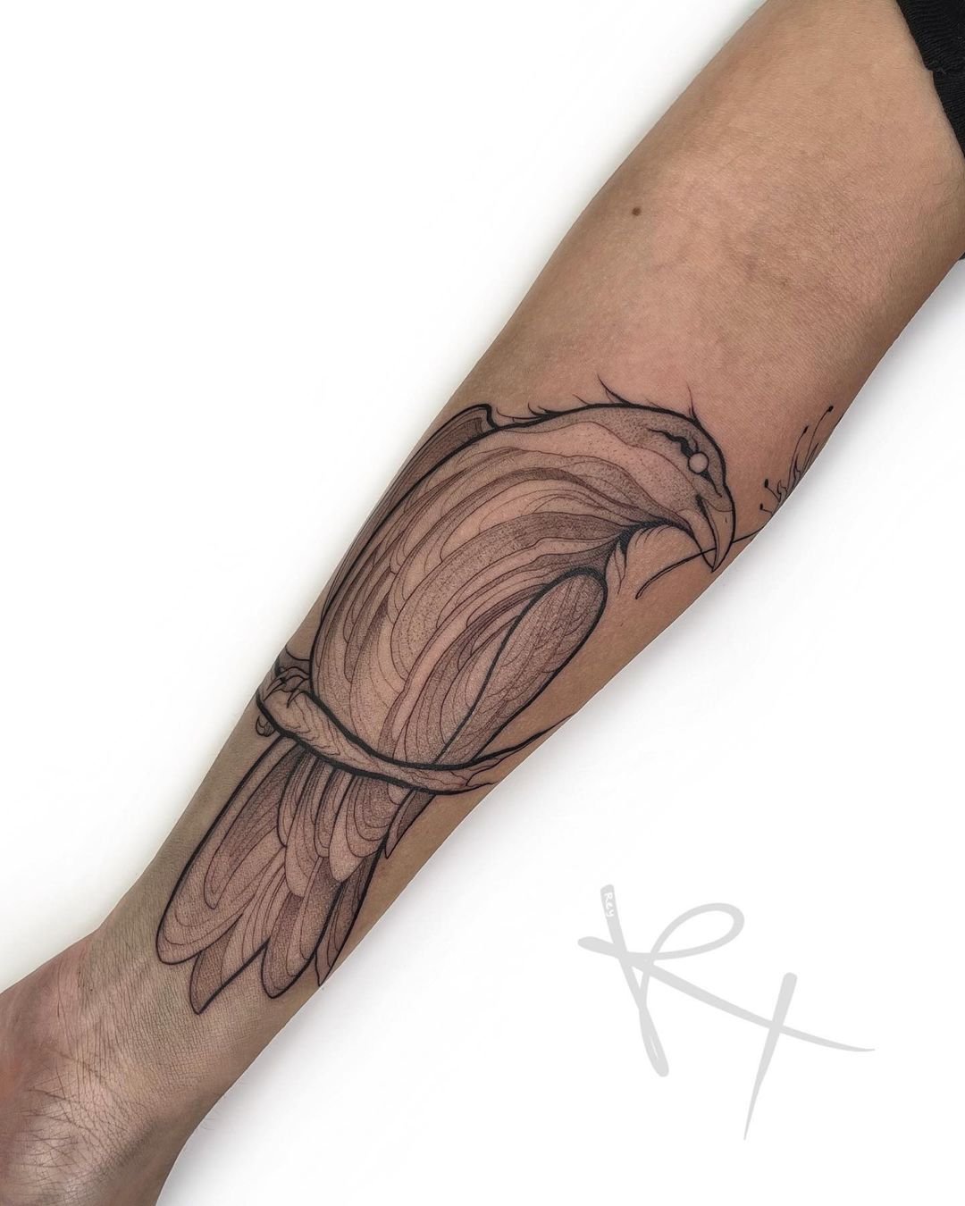 Crow tattoo on forearm by rey teysse