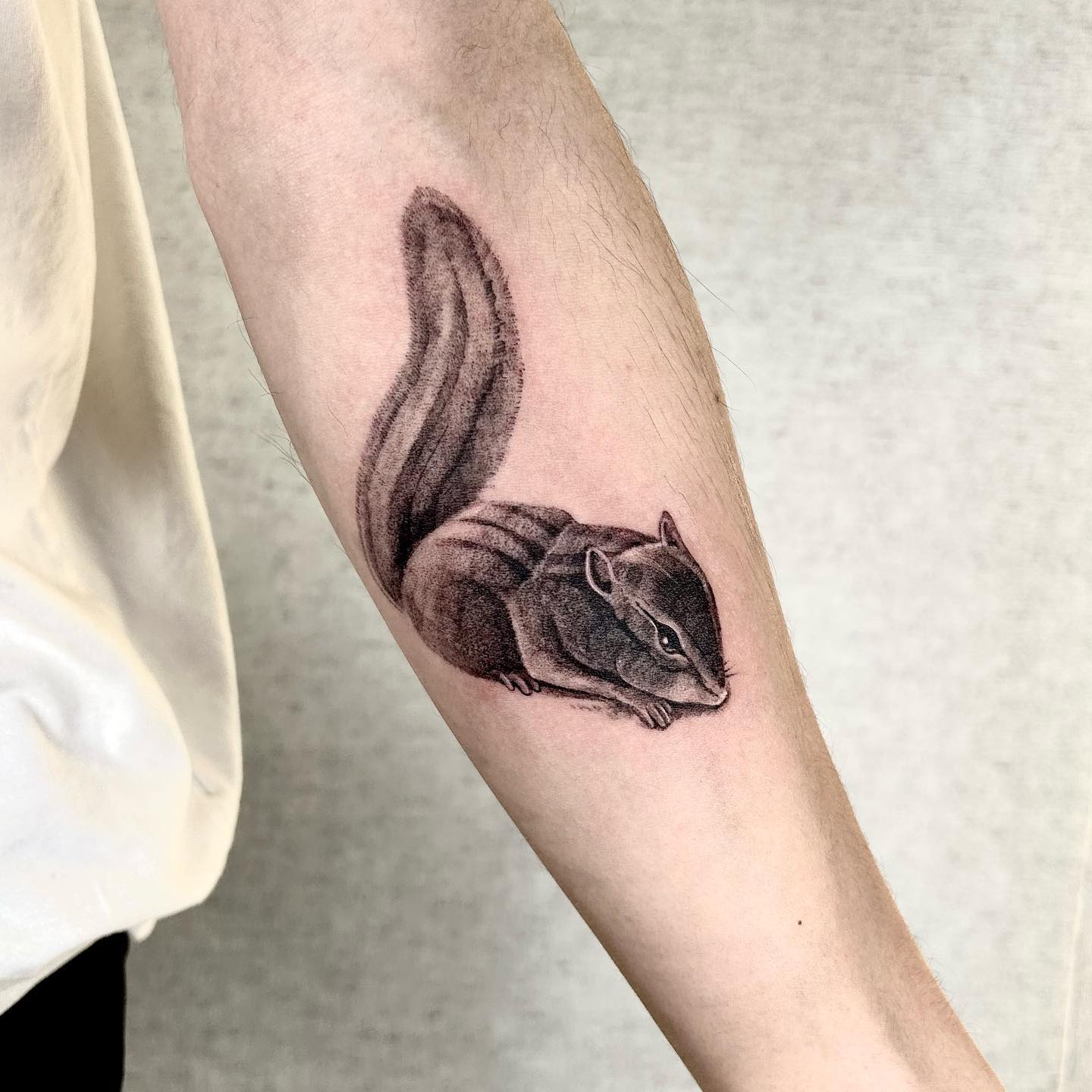 Cute squirrel tattoo by tattooer donggle