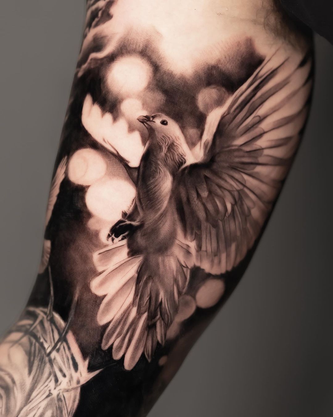 Dove tattoo by jks.tattoo