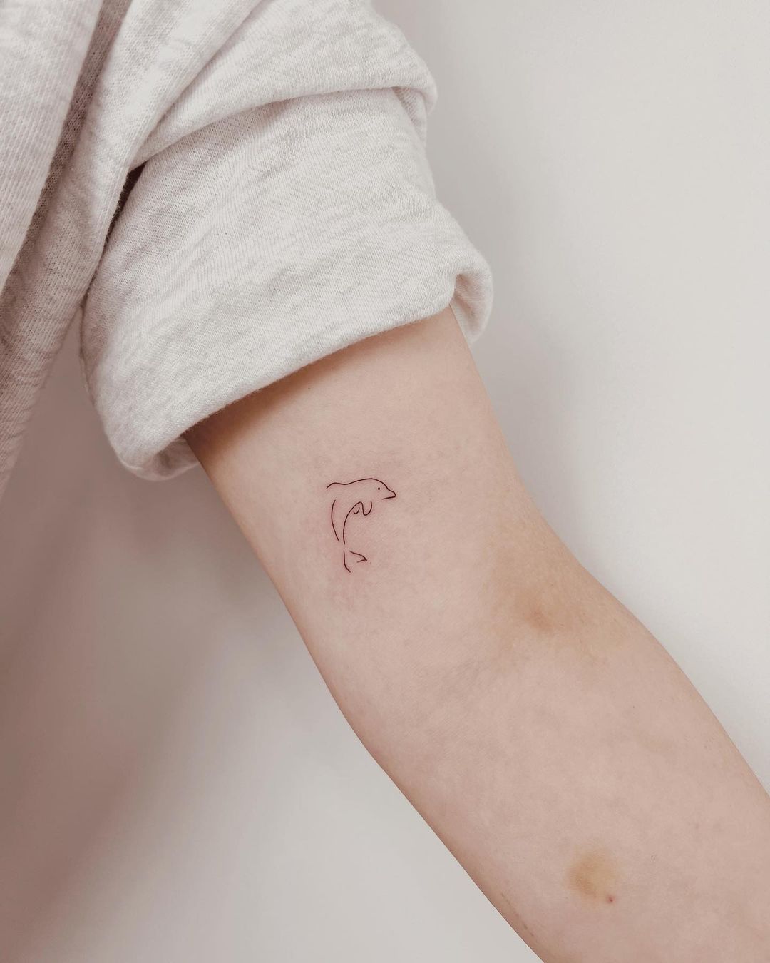 Fineline dolphin tattoo by tattooist dante