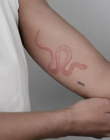 Fineline snake tattoo by la source tattoo 1