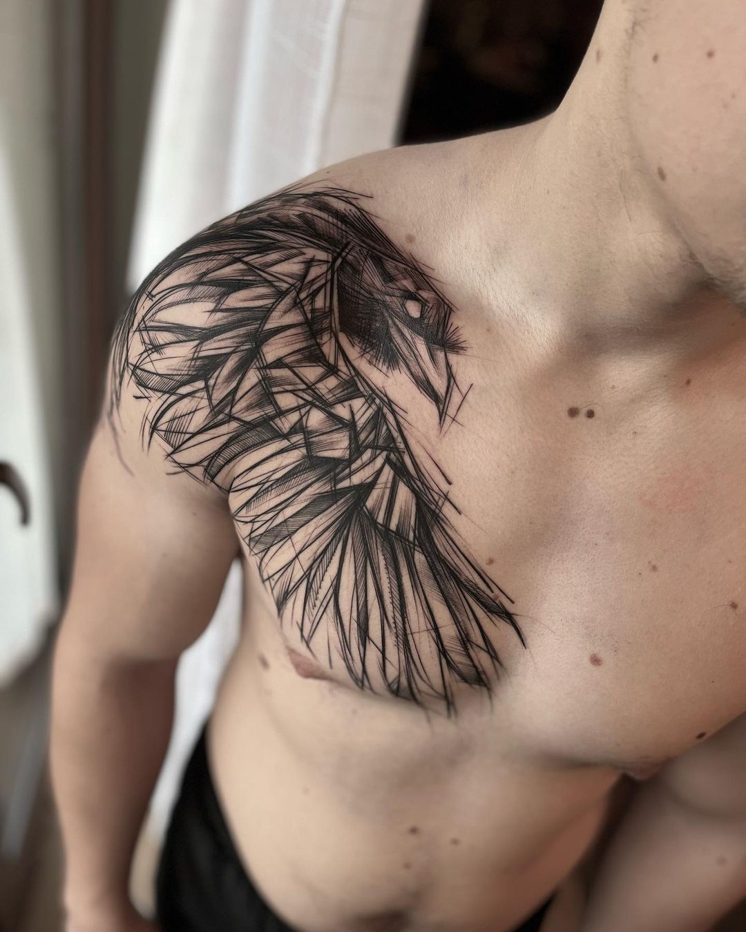 Latest Crow chest piece Tattoos  Find Crow chest piece Tattoos