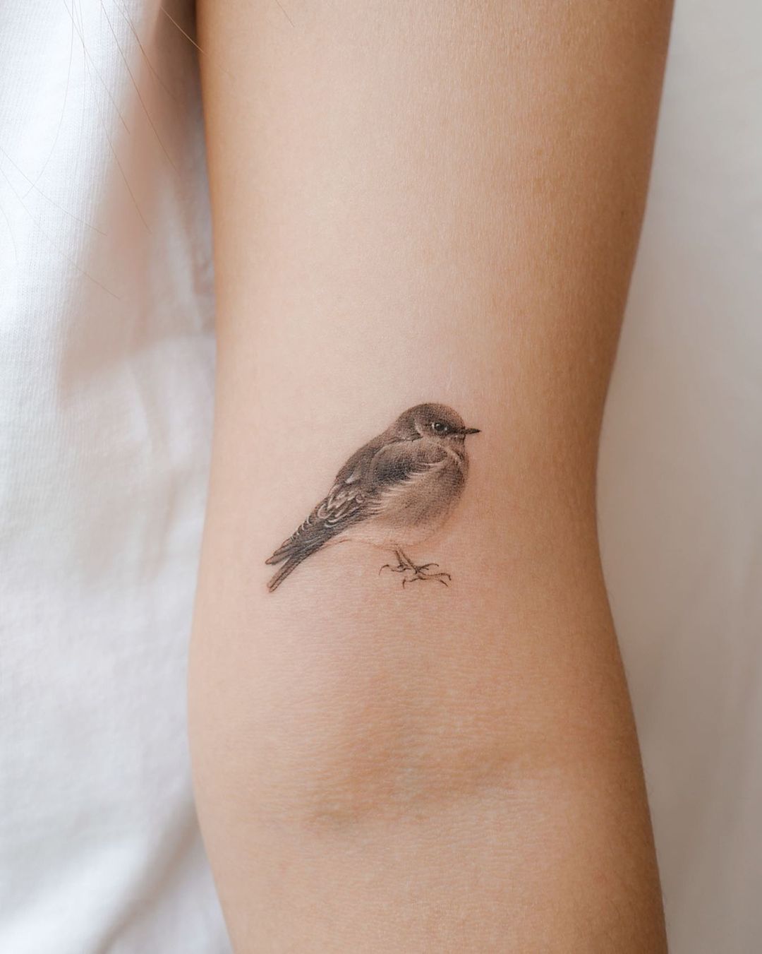 Little bird tattoo by hansantattoo