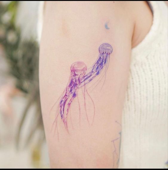 15 Box jellyfish tattoo ideas | jellyfish tattoo, jellyfish, jellyfish craft