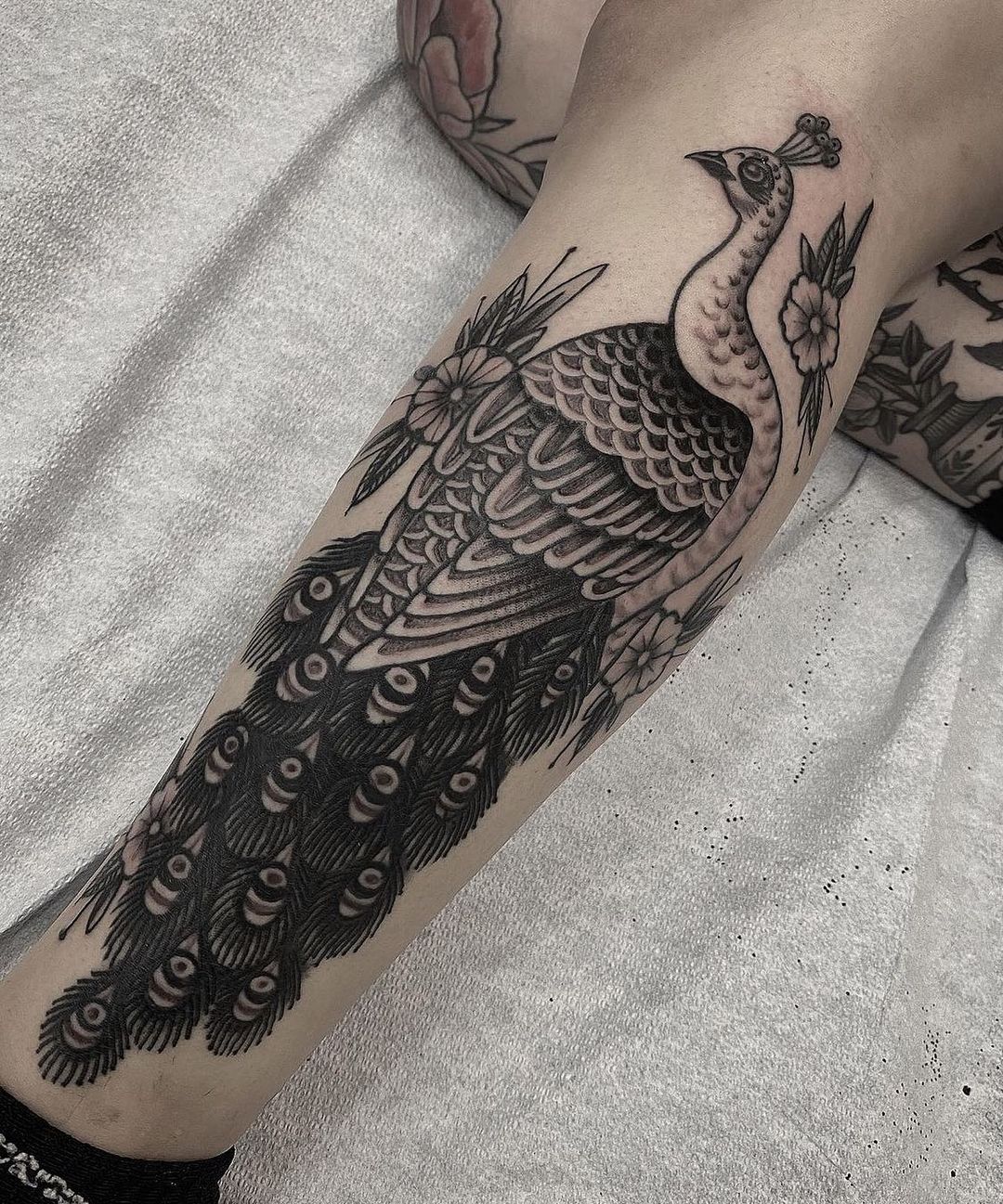Peacock tattoo design by nicholasleetattoo