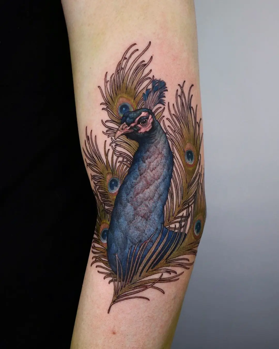 Realistic peacock tattoo by swan tattooer