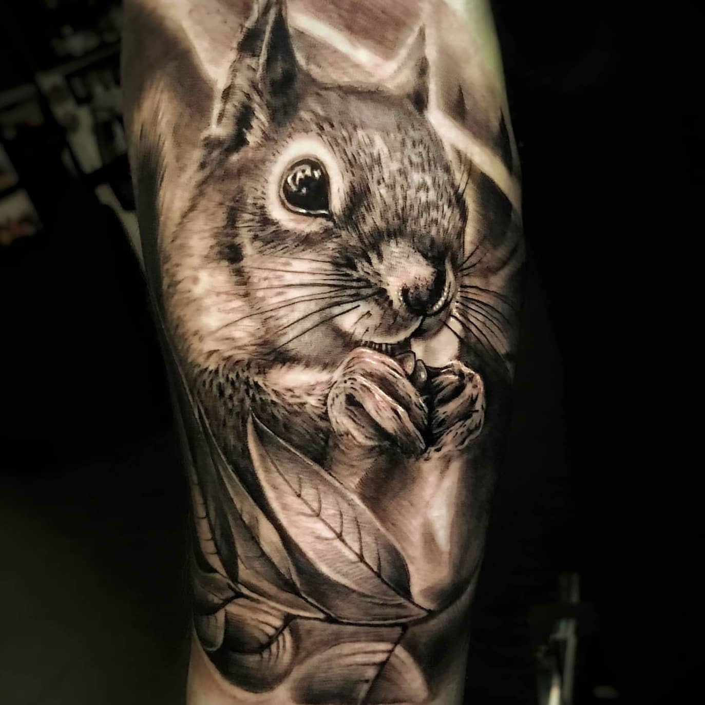Realistic squirrel tattoo by hamiltontattooparlour
