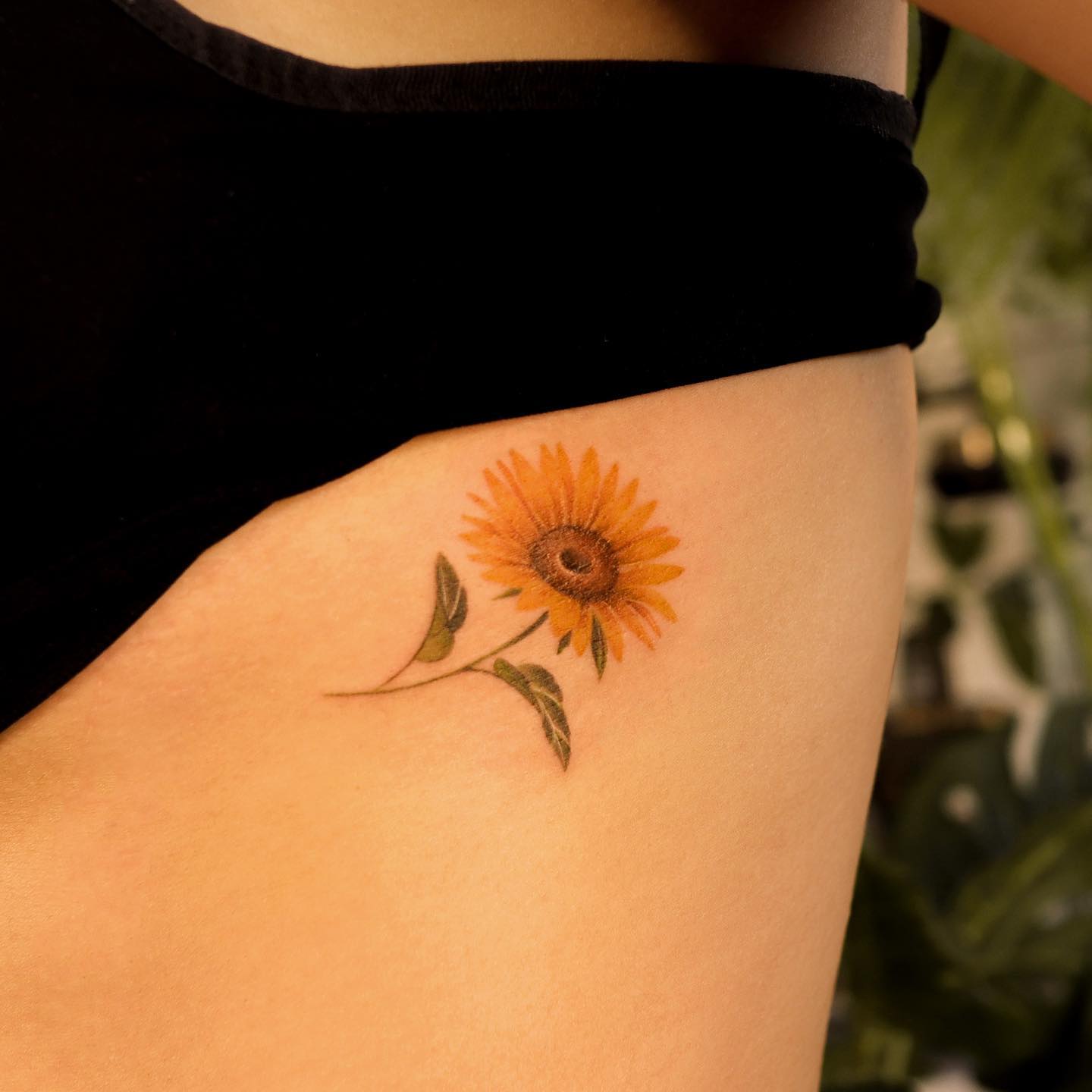 Realistic sunflower tattoos by noul tattoo