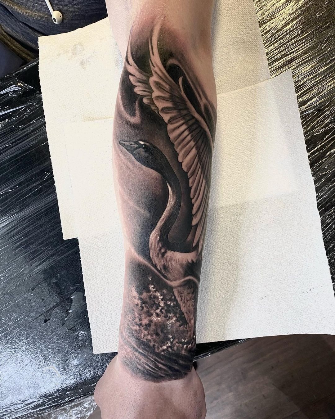 Realistic swan tattoo by akuznecovas tattoo