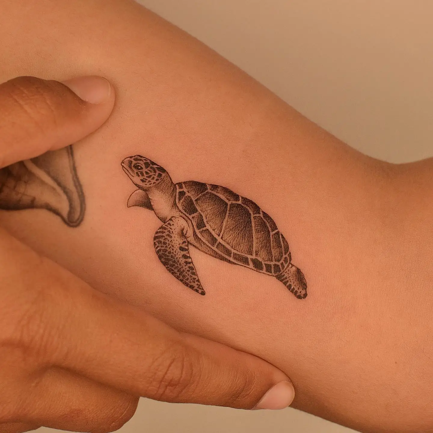 Realistic turtle tattoo by tattooer jina
