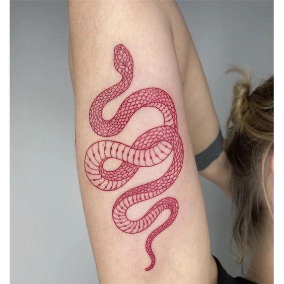 Red snake tattoo 1
