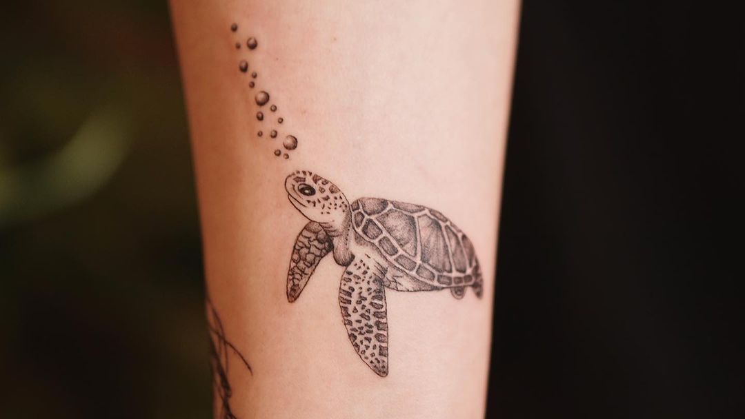 Sea turtle tattoo by ayseulart.stp
