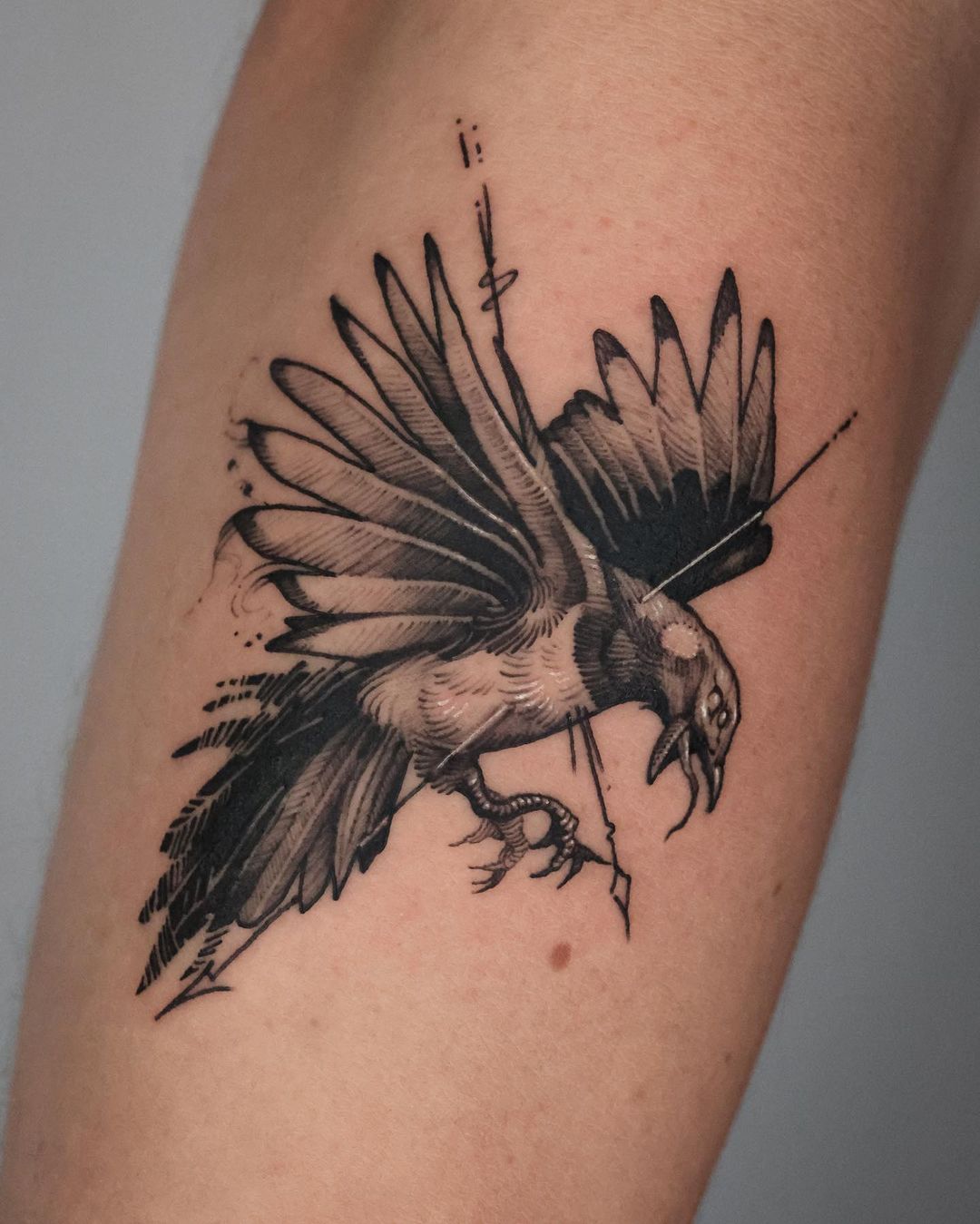 Arm Realistic Raven Tattoo by Diamond Jacks