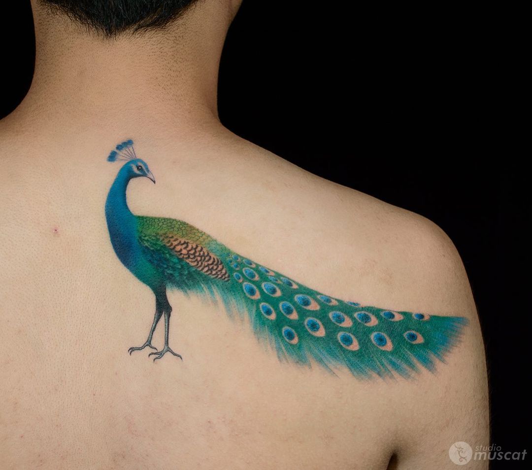 Simple peacock tattoo by studiomuscat
