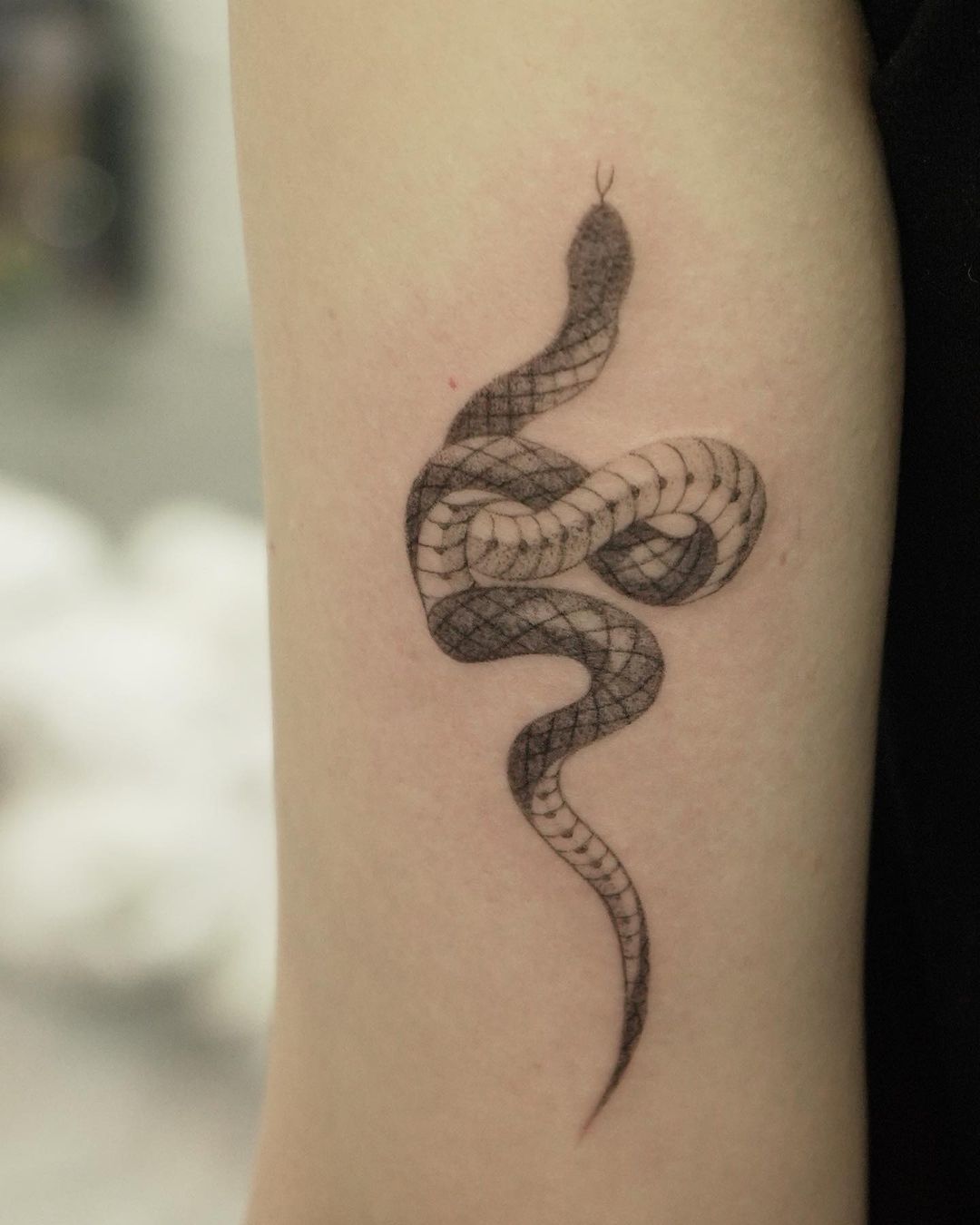 Simple snake tattoo by tattooist sodam