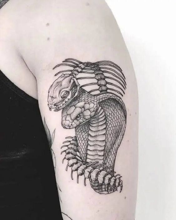 Skull and snake tattoo 2