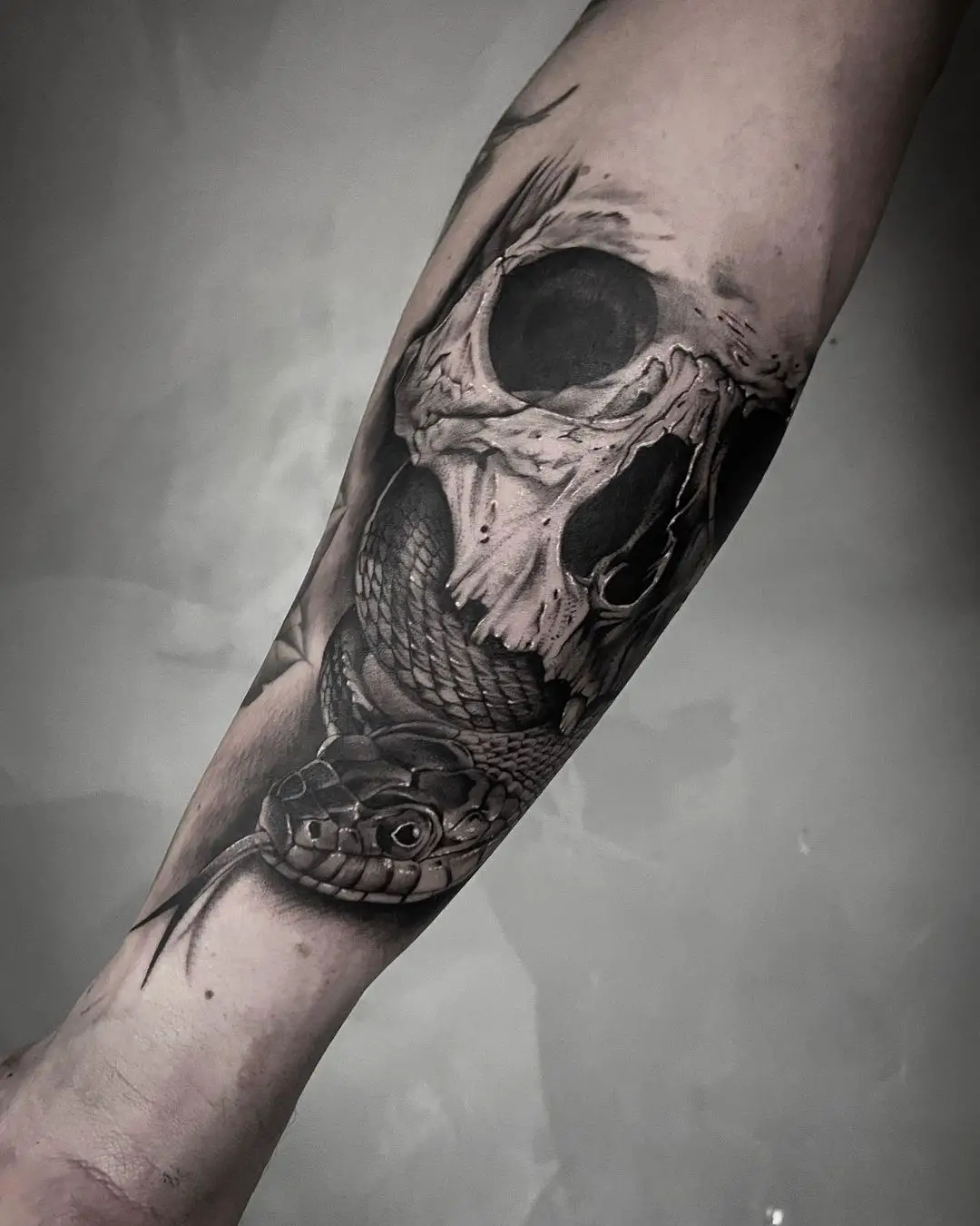 Snake and skull tattoo by mitchellschuurmanart