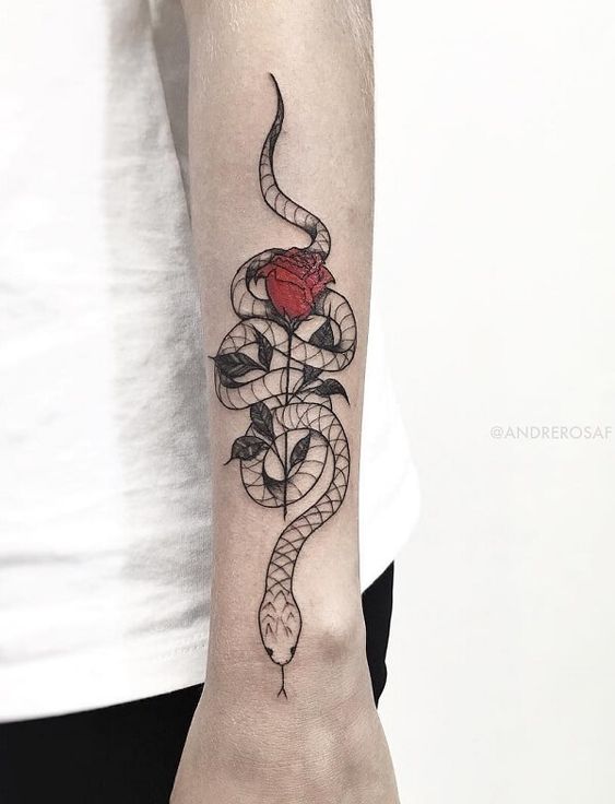 Snake with rose tattoo 3