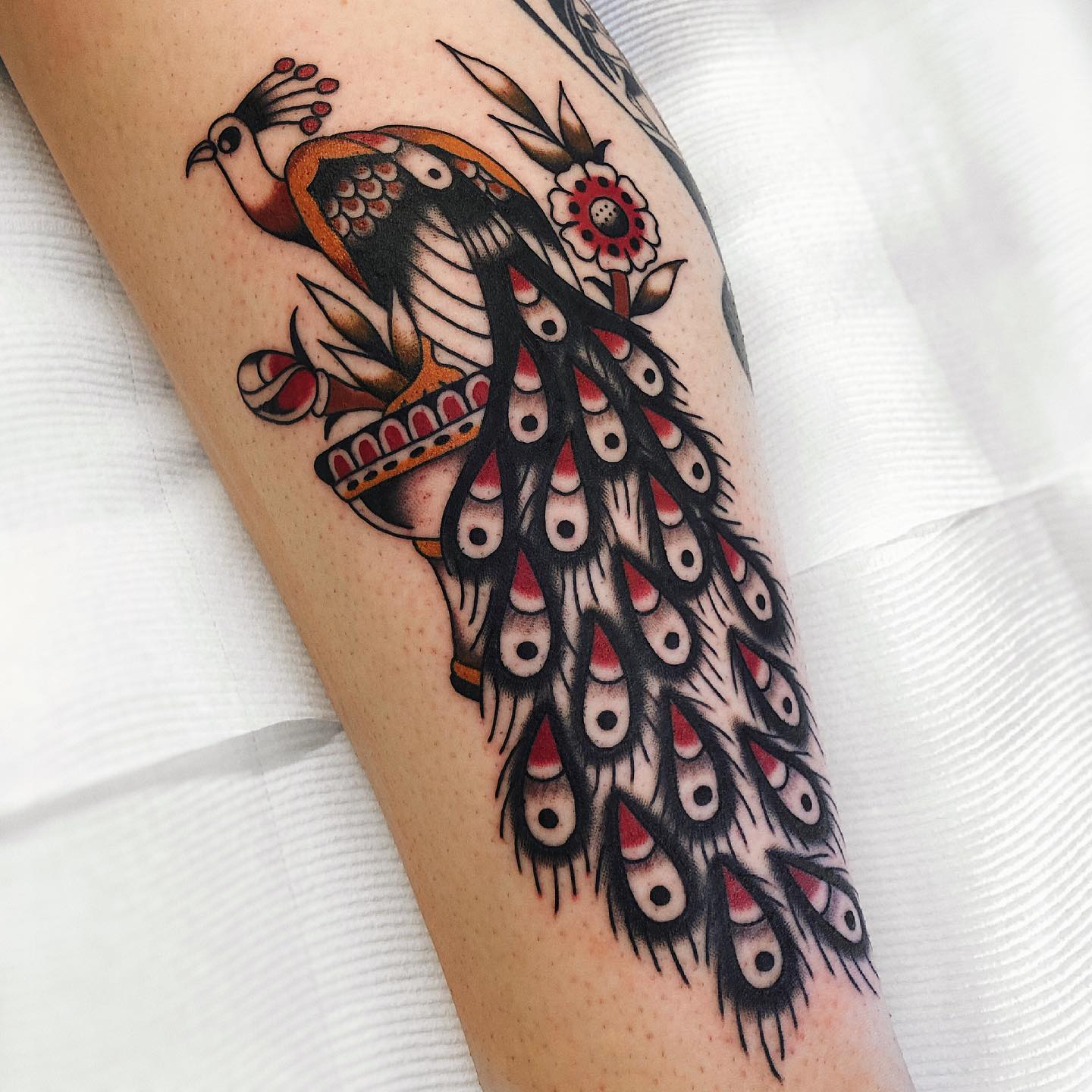 Traditional peacock tattoo by