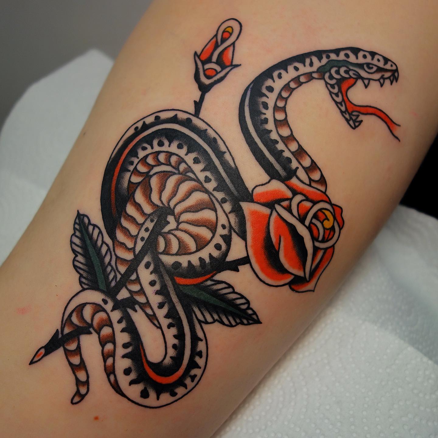Traditional snake tattoo by