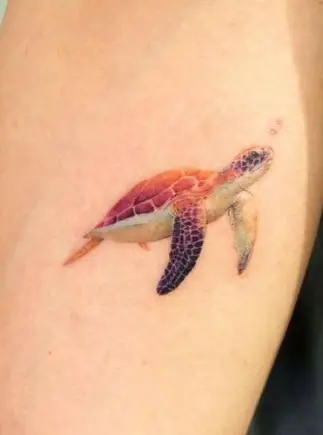 Turtle tattoo by eunyutattoo