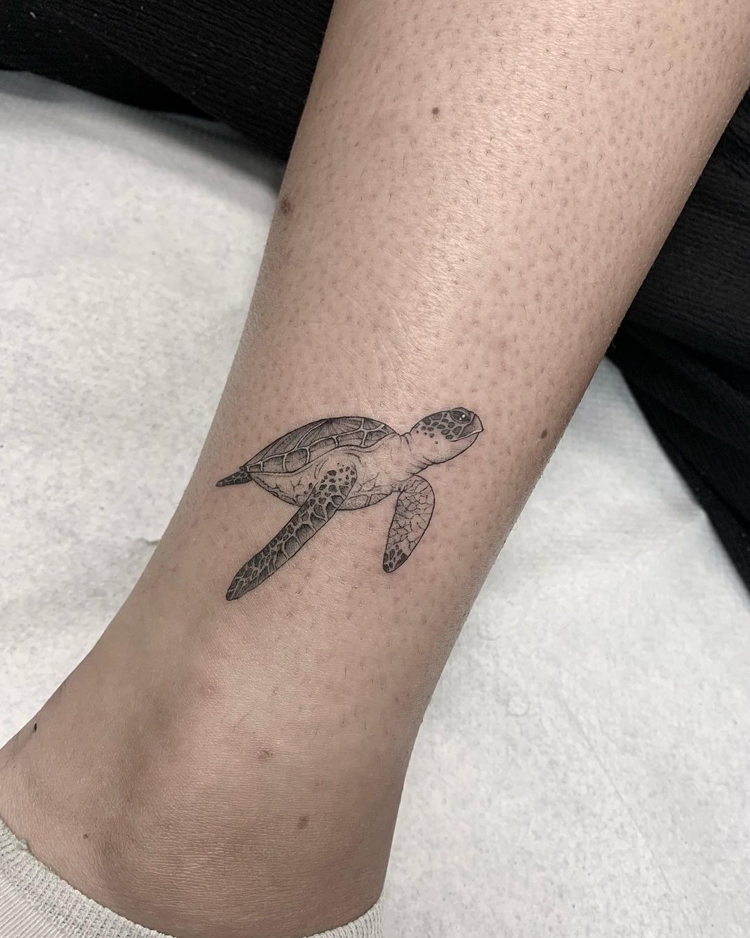 Turtle tattoo for women by ache minimal