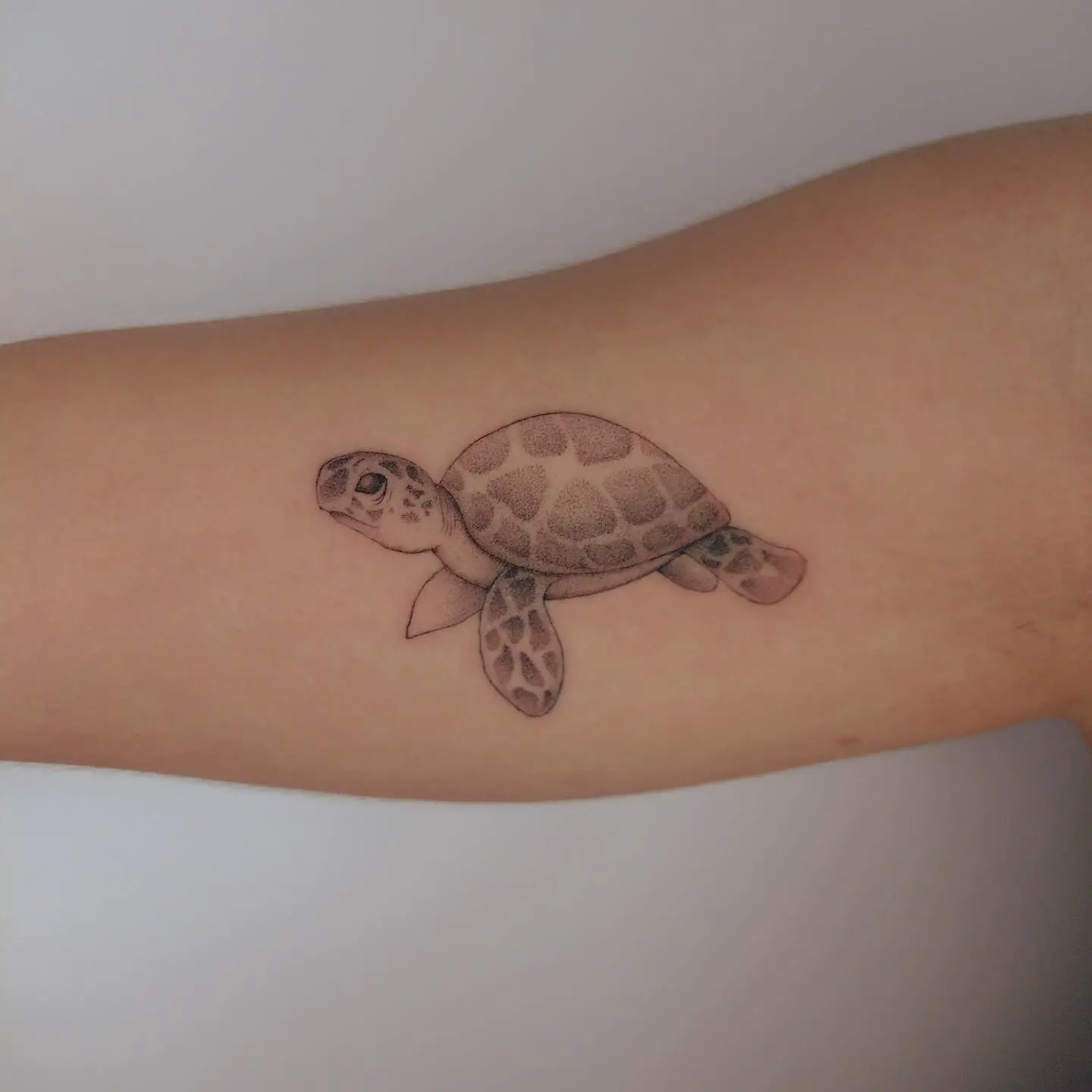 Turtle tattoo on forearm by delcocotattoo